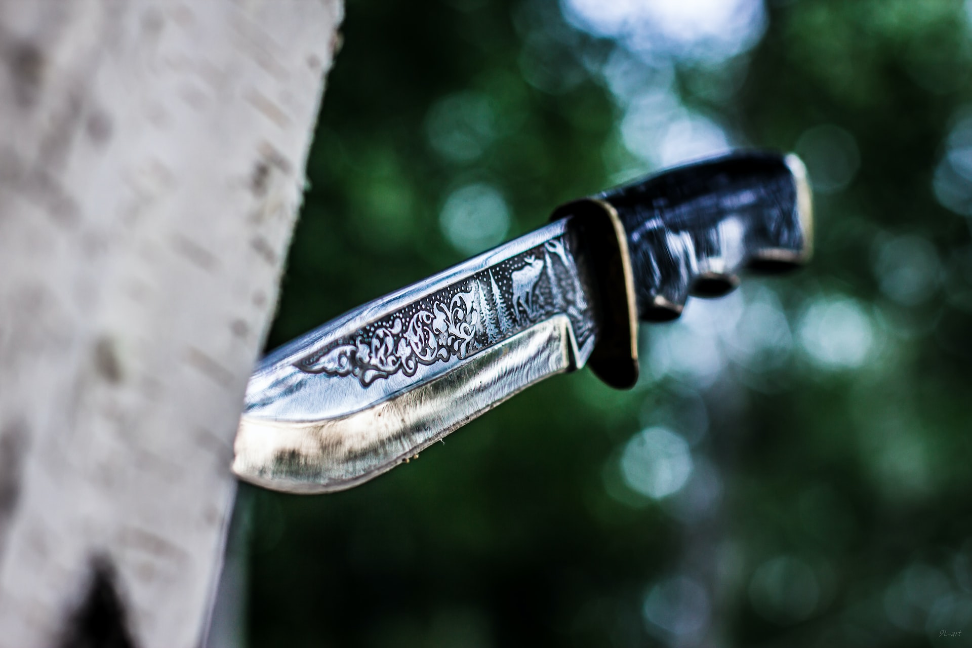 Knife Collecting Trends-20 Tips for Knife Collection guide