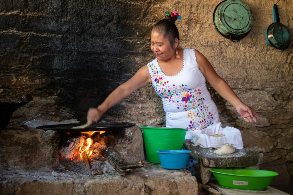 Vida Guerrero