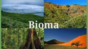 bioma